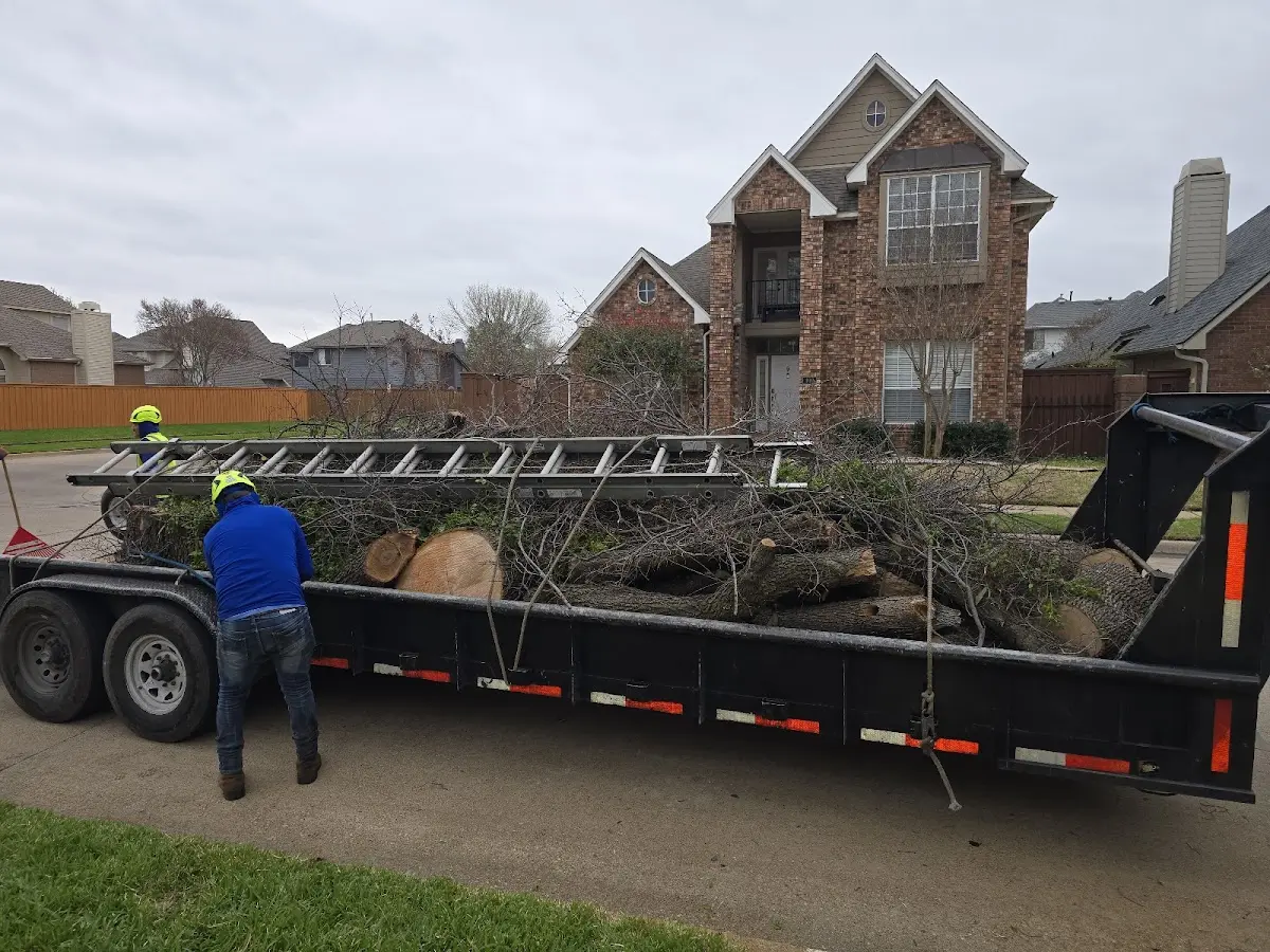 Expert Crown Reduction with proper safety equipment in Richlandtown